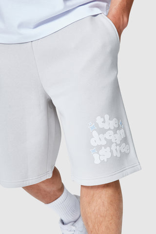 Dream Is Free 2.0 Twinset - Light Grey/Grey