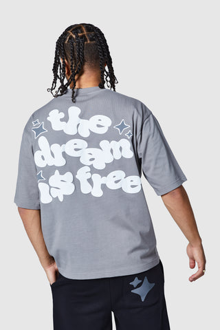 Dream Is Free 2.0 Tee - Steel